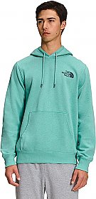 THE NORTH FACE M Graphic Injection Hoodie Wasabi/Federal Blue
