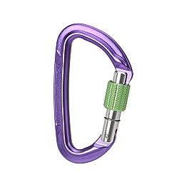 WILD COUNTRY SESSION SCREW GATE Purple/Green