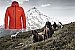 SALEWA Ortles Hybrid TirolWool Celliant Jacket Women Red Plum